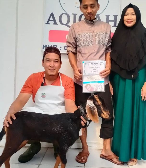 Kambing Aqiqah