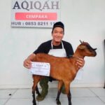 Melihat Penyembelihan Aqiqah