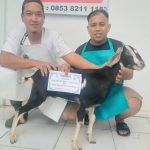Kenapa Harus Aqiqah